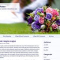 wordpress-responsive-theme 21