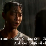 xin loi anh chi la thang lam nghe seo