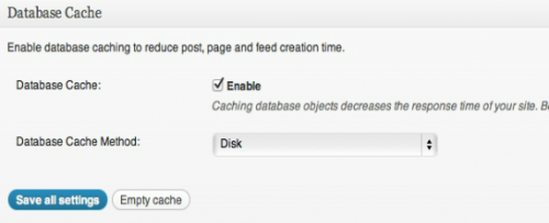 Database cache w3 total cache