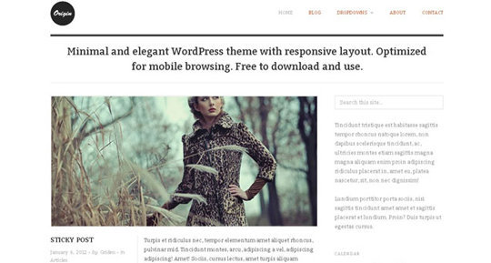 Wordpress responsive theme 11