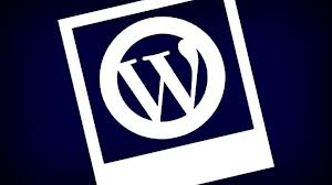 cach chon themes wordpress cho website